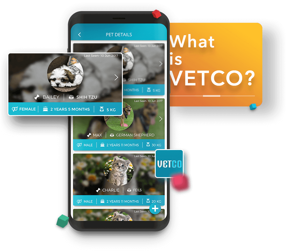What is Vetco