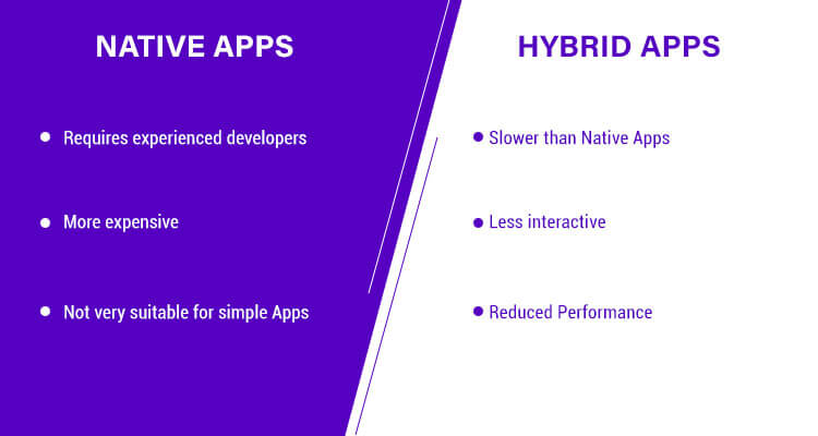 cons of building a Native mobile App & Hybrid mobile App