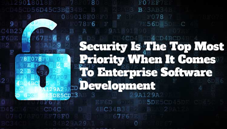 enterprise software development company discussing security