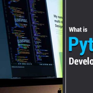 What-is-Python-Development