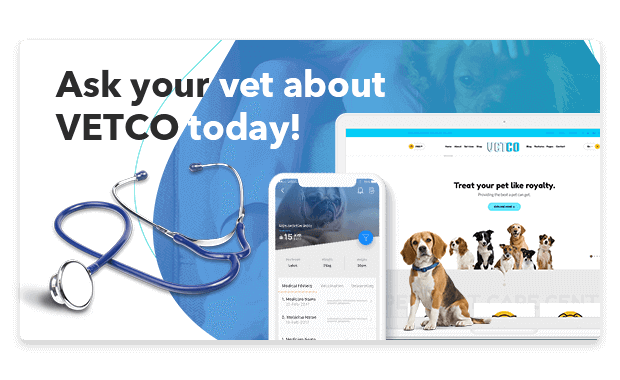 vetco case study developed by chromeinfotech