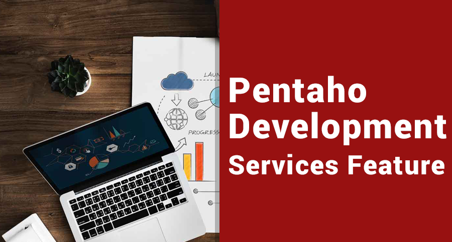 Pentaho-Development-Services-Feature